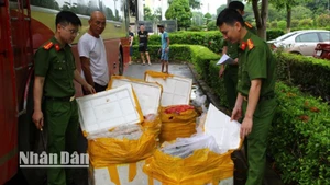 476kg nội tạng và các sản phẩm của động vật không rõ nguồn gốc được phát hiện trên xe khách biển kiểm soát 25F-002.09.