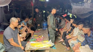 Lực lượng công an khống chế, bắt giữ các đối tượng khai thác vàng trái phép tại xã Gia Phù, tỉnh Sơn La.