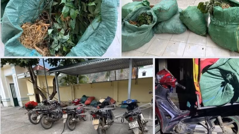 Tang vật của vụ án.