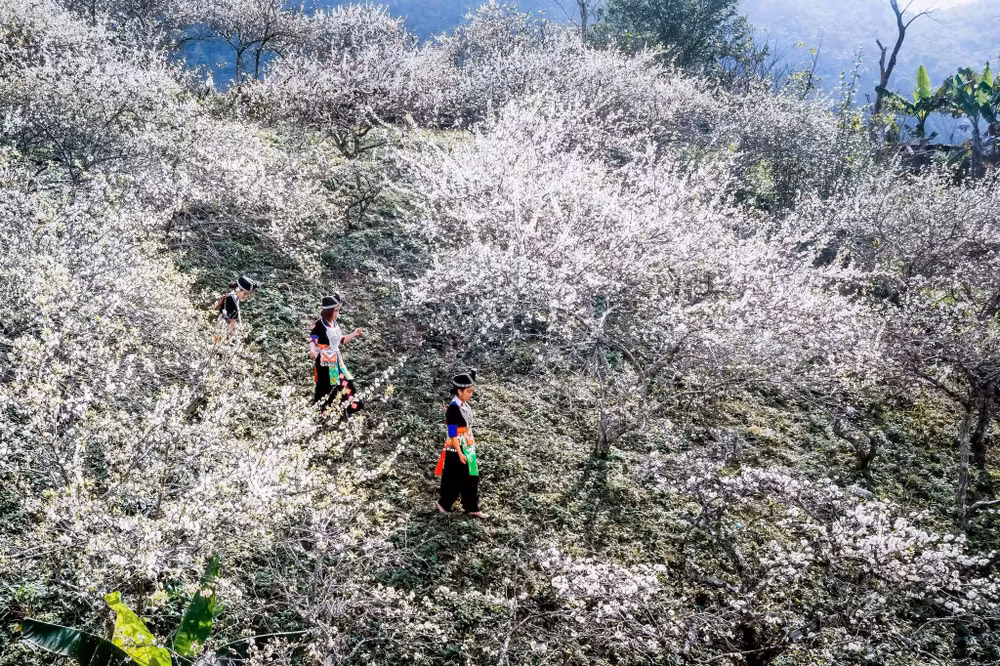 Với khí hậu mát mẻ vào mùa hè, sương mù bao phủ mùa đông, mùa xuân cùng với cảnh đẹp, Mường Lống ngày càng thu hút được nhiều du khách về khám phá. (Ảnh: NHẬT THANH) Với khí hậu mát mẻ vào mùa hè, sương mù bao phủ mùa đông, mùa xuân cùng với cảnh đẹp, Mường Lống ngày càng thu hút được nhiều du khách về khám phá. (Ảnh: NHẬT THANH)