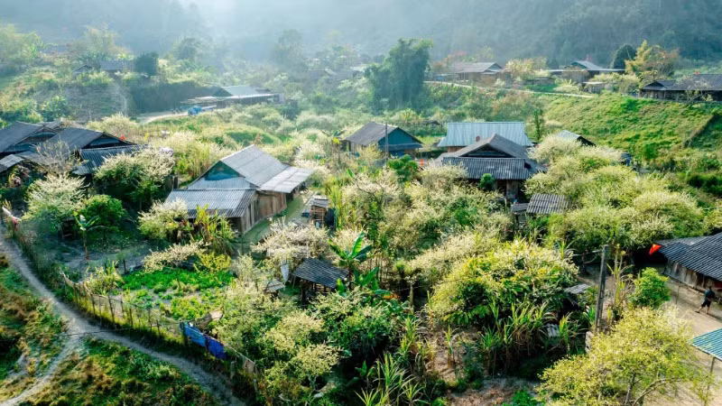 Ở độ cao hơn 1.500m, Mường Lống quanh năm mát mẻ, đẹp như một bức tranh thủy mặc giữa đại ngàn Trường Sơn. (Ảnh: NHẬT THANH)