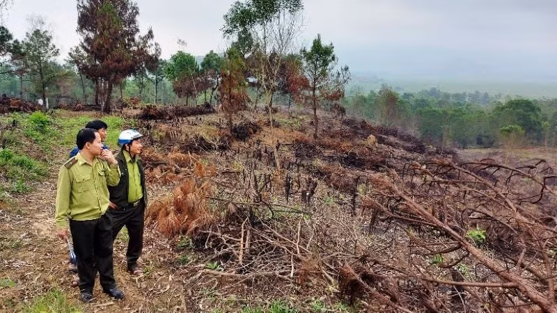 Lực lượng chức năng kiểm tra thực địa.