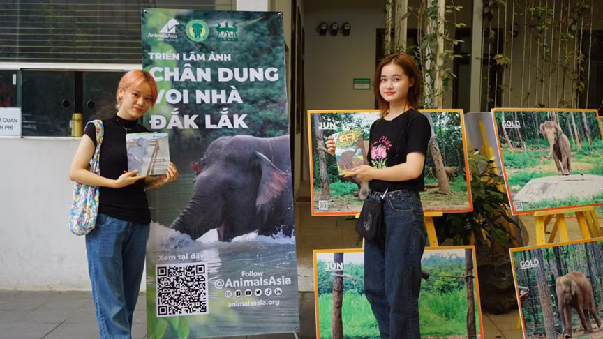 Triển lãm mang đến hình ảnh và câu chuyện của 36 cá thế voi nhà còn lại của tỉnh Đắk Lắk.