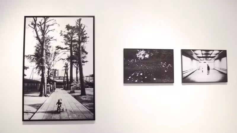 Trong thế giới màu sắc của Tokyo, tác giả Hải Thanh đã ghi lại những thước ảnh trắng đen.