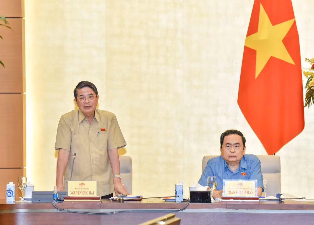 Phó Chủ tịch Quốc hội Nguyễn Đức Hải phát biểu tại cuộc họp. (Ảnh: Duy Linh)