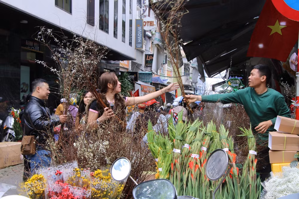Những cành tuyết mai thu hút du khách.