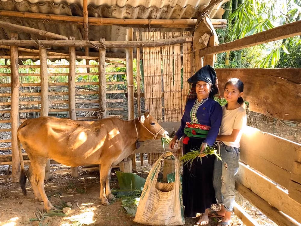 Hỗ trợ giống vật nuôi cho nạn nhân mua, bán người. (Ảnh: Tổ chức Blue Dragon)