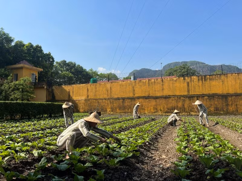 Các phạm nhân đủ điều kiện đề nghị đặc xá tiếp tục lao động chờ ngày nhận quyết định đặc xá. Các phạm nhân đủ điều kiện đề nghị đặc xá tiếp tục lao động chờ ngày nhận quyết định đặc xá.