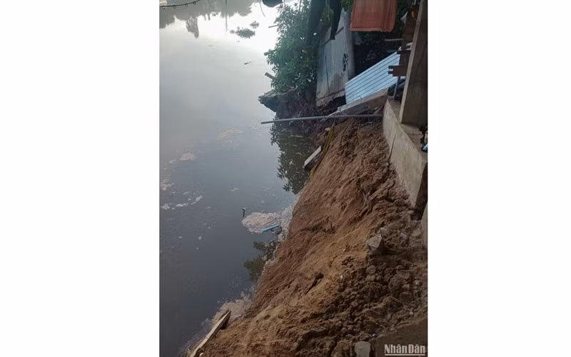 Sạt lở bờ sông Ông Chưởng ảnh hưởng đến nhà dân xã Long Giang.