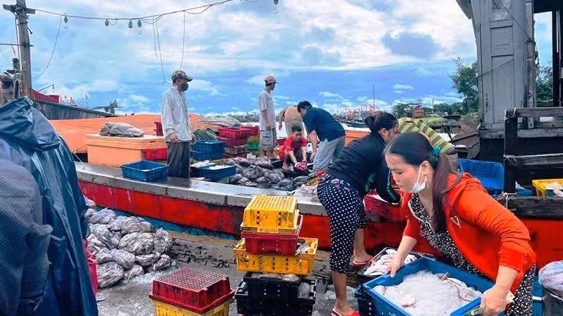 Chuyến cập bờ cuối cùng của ngư dân Thuận An (thành phố Huế) trước khi bão số 4 đổ bộ vào đất liền.