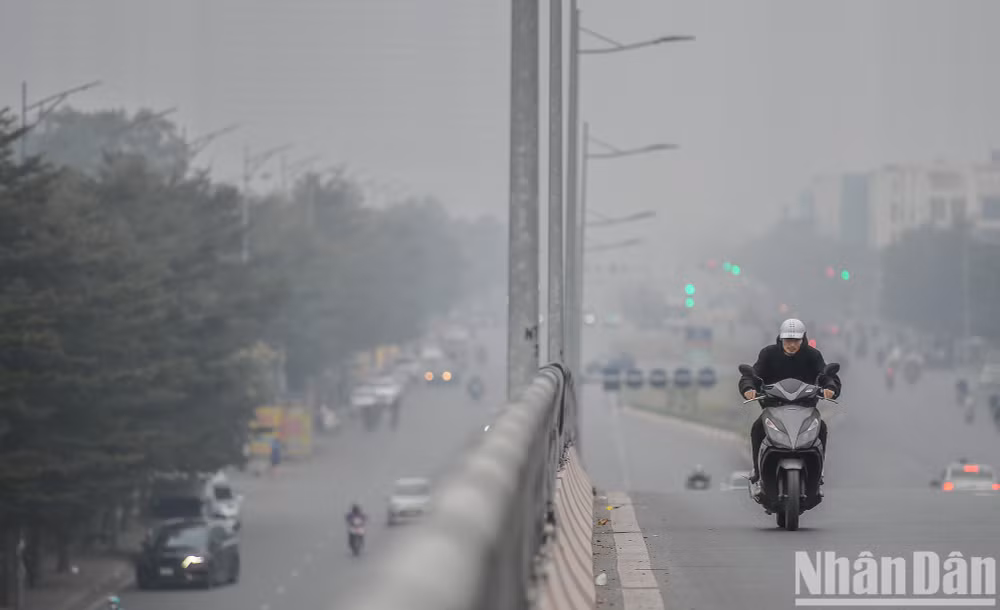 (Ảnh: THÀNH ĐẠT)