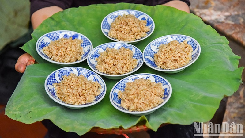 (Ảnh: NAM NGUYỄN - NHẬT QUANG)