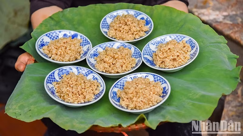 (Ảnh: NAM NGUYỄN - NHẬT QUANG)