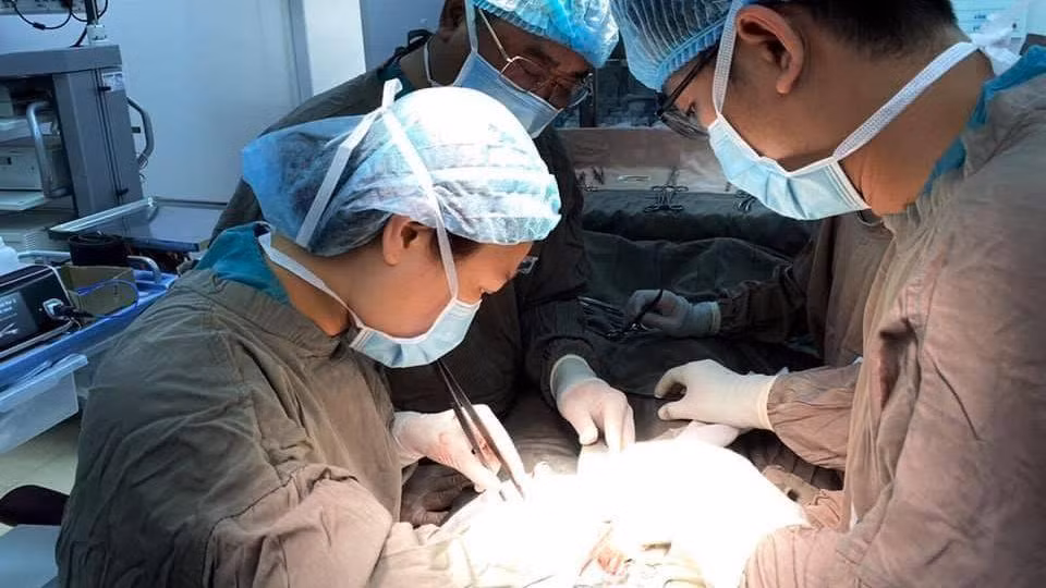 Các bác sĩ phẫu thuật cho bệnh nhân. 