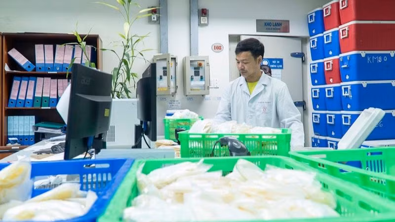 Nhân viên Viện Huyết học-Truyền máu Trung ương chuẩn bị huyết tương để cung cấp cho các cơ sở y tế.