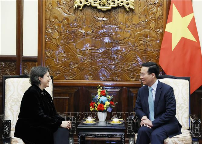 Chủ tịch nước Võ Văn Thưởng tiếp Đại sứ Tây Ban Nha Pilar Méndez Jiméne. (Ảnh: Thống Nhất/TTXVN)