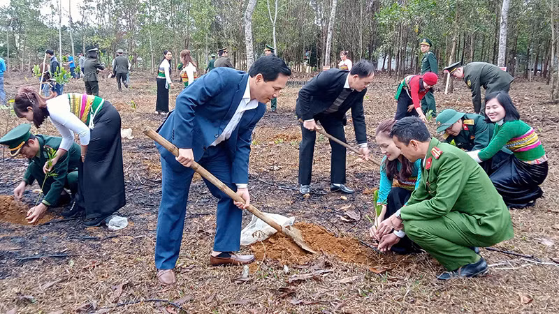 Các lực lượng ở vùng thượng du Thanh Hóa trồng cây đầu Xuân Ất Tỵ.