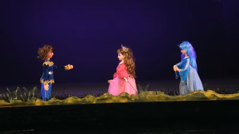 Vẻ đẹp của nghệ thuật múa rối tạo nên sự yêu mến của khán giả.