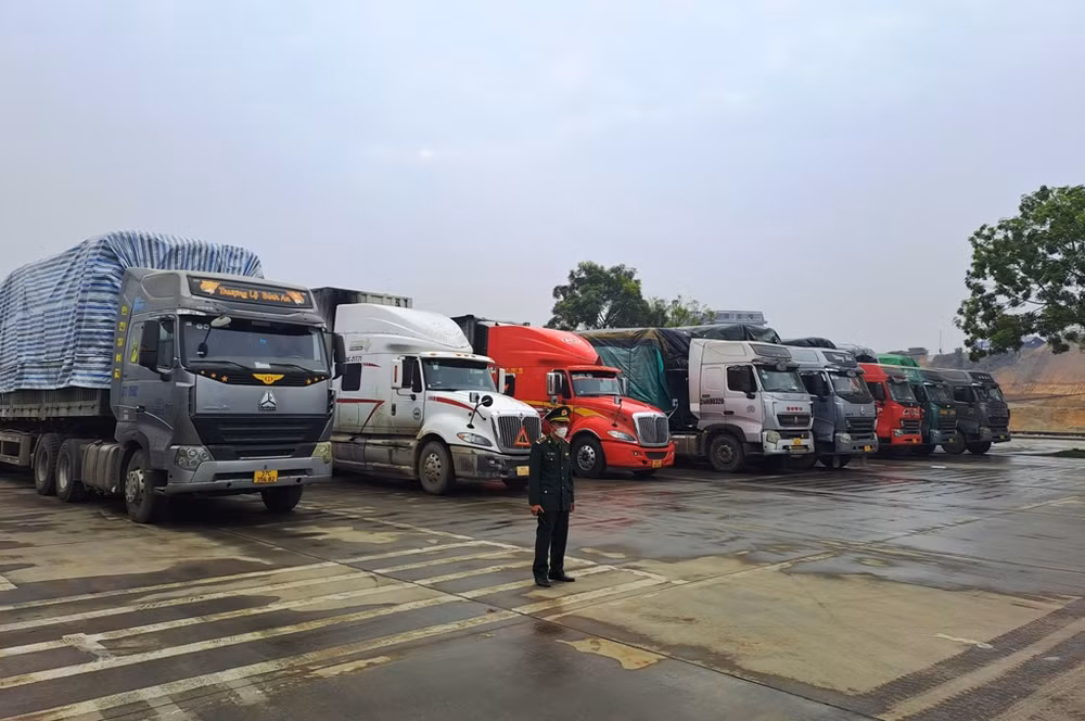 Xe ô-tô chở nông sản xếp hàng trong bãi kiểm hóa chờ thông quan qua Cửa khẩu Kim Thành-Lào Cai. (Ảnh Quốc Hồng)