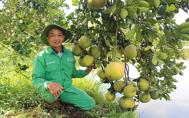 Ông Lê Văn Cần bên thành quả lao động tại trang trại ở huyện Ý Yên, tỉnh Nam Định. (Ảnh nhân vật cung cấp)