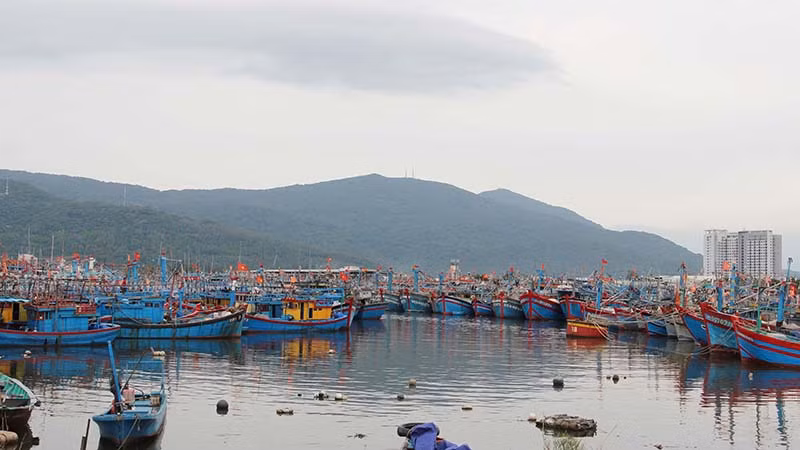 Đà Nẵng tăng cường công tác tuyên truyền, kiểm tra, giám sát thực hiện nhiệm vụ chống khai thác IUU.