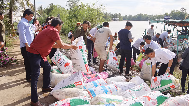 Đưa cá giống ra sông Bông Bót, xã An Phú Tân, huyện Cầu Kè, tỉnh Trà Vinh để thả ra môi trường tự nhiên.