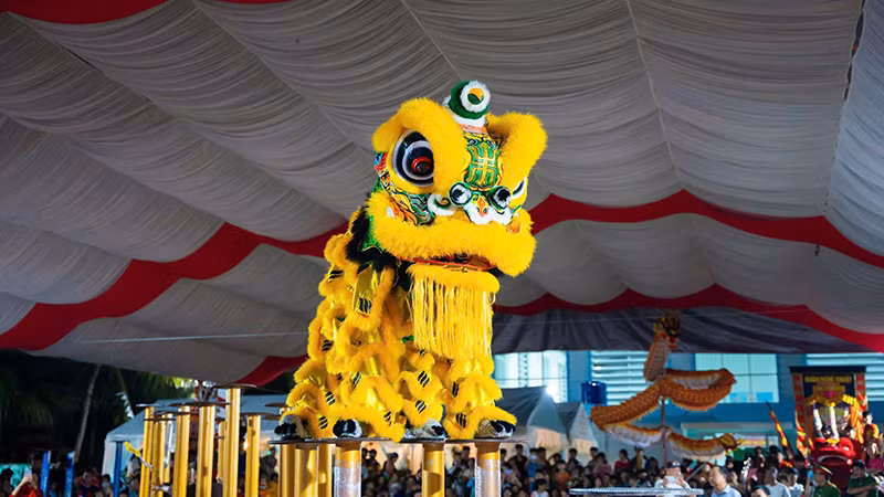 Màn trình diễn của đội Lân Sư Rồng câu lạc bộ Phạm Gia, thành phố Thủ Đức.
