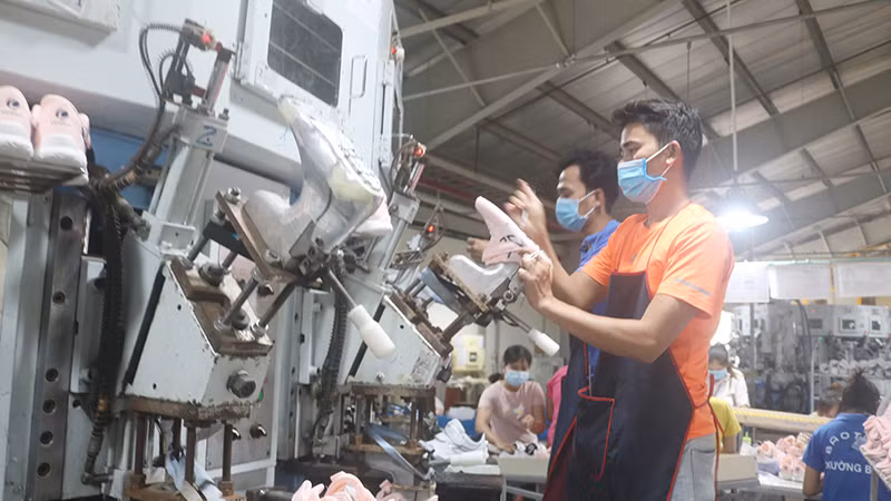 Công nhân, lao động Công ty Trách nhiệm hữu hạn thương mại và sản xuất Bảo Tiên ở xã Song Lộc, huyện Châu Thành đang gia công các sản phẩm giày da xuất khẩu.