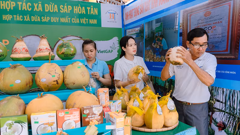 Đặc sản dừa sáp Trà Vinh.