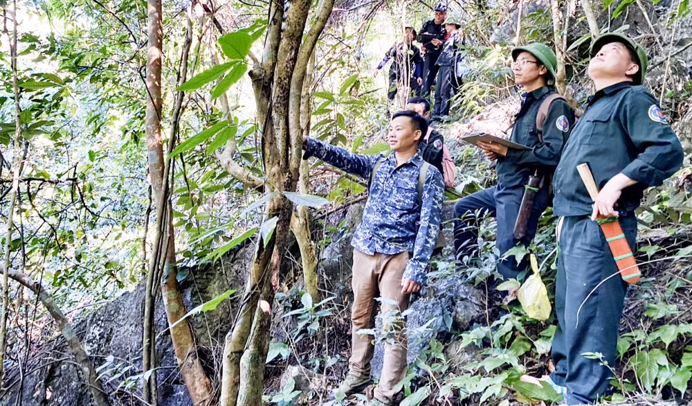 Kiểm lâm Ban Quản lý rừng đặc dụng và phòng hộ tỉnh Thái Nguyên tăng cường kiểm tra phòng cháy rừng.