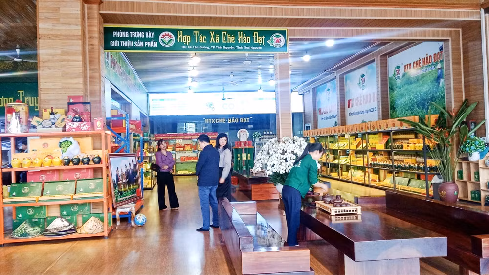 Hợp tác xã Chè Hảo Đạt xây dựng không gian trưng bày, bán sản phẩm và bố trí không gian cho du khách thưởng thức các sản phẩm trà đạt tiêu chuẩn OCOP.