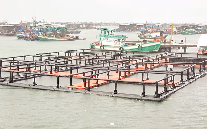 Mô hình nuôi cá trên biển bằng lồng nhựa HDPE.