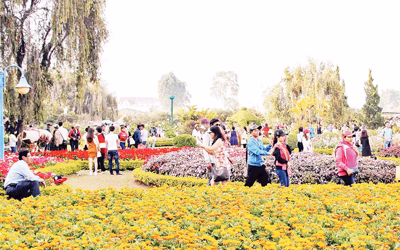 Du khách trải nghiệm thành phố ngàn hoa Đà Lạt.