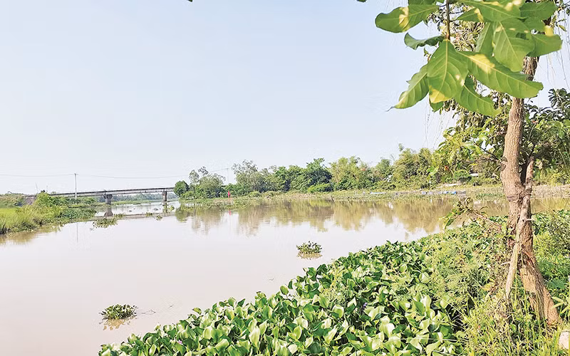 Sông Đầm được xem như “lá phổi” của thành phố Tam Kỳ.