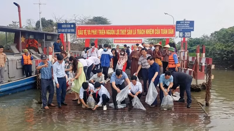 Thả 320 nghìn con giống thủy sản xuống các vùng nước tự nhiên trong tỉnh Thái Bình, tháng 3/2023. Ảnh: MAI TÚ