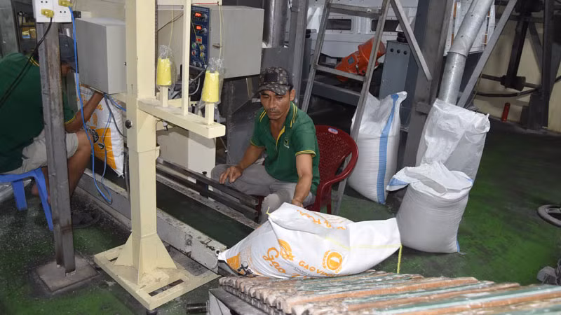 Đóng gói gạo xuất khẩu của một doanh nghiệp xay xát, chế biến gạo trên địa bàn tỉnh Tiền Giang.