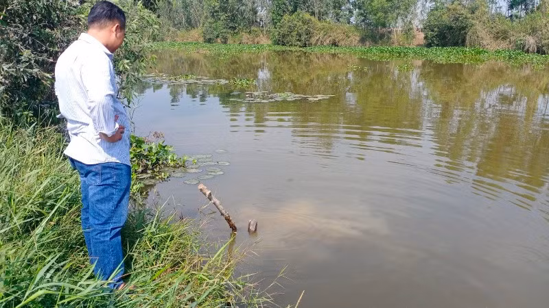 Người dân kiểm tra một miệng cống ra kênh, khu vực nguồn nước bị ô nhiễm.