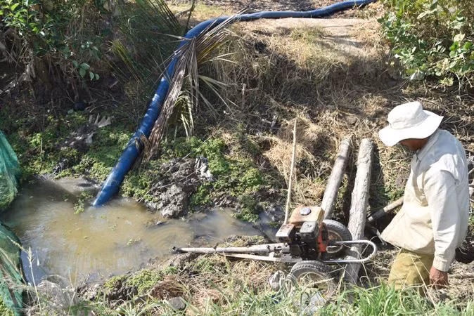 Ông Nguyễn Văn Minh bơm nước cho đàn vịt đẻ xuống nằm