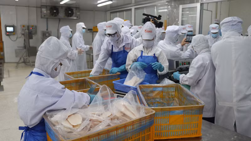 Chế biến, đóng gói thủy sản xuất khẩu tại Công ty cổ phần thủy sản Gò Đàng.