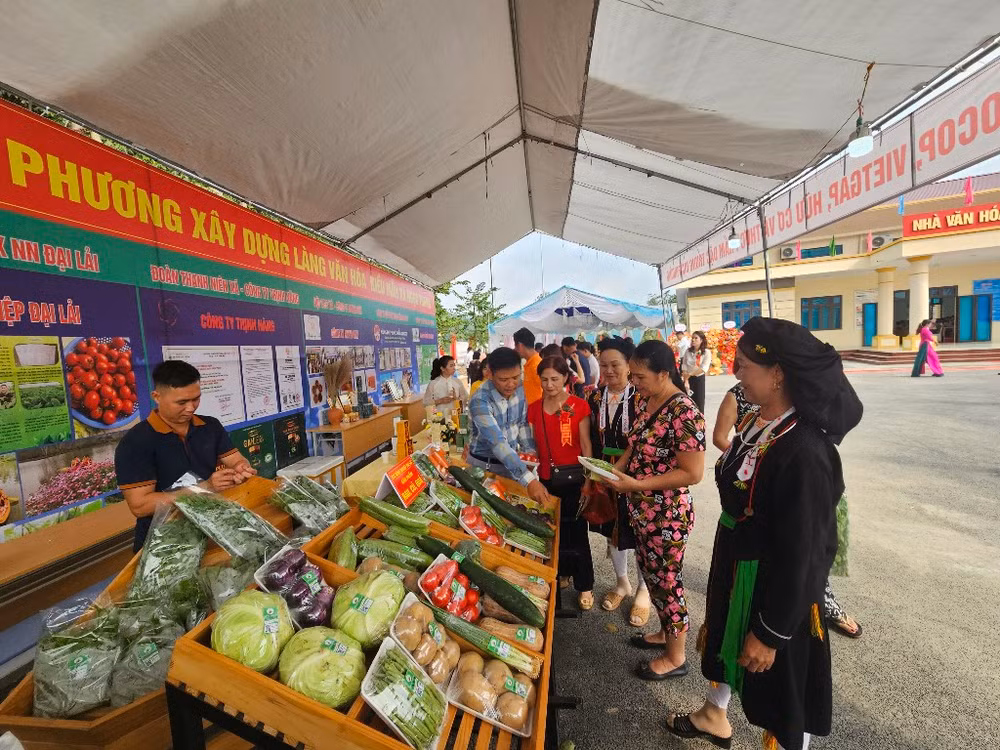 Nhân dân tham quan gian trưng bày nông sản tại Làng văn hóa kiểu mẫu Lập Đinh, xã Ngọc Thanh, thành phố Phúc Yên.
