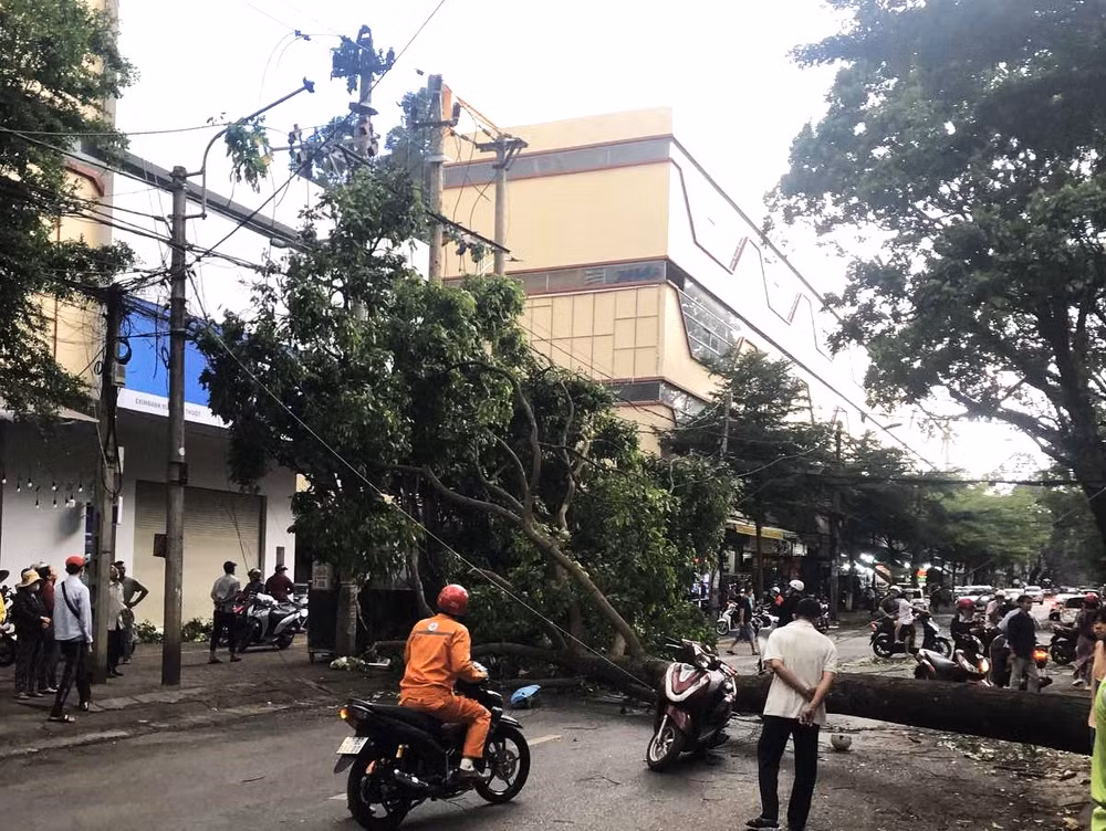 Ngoài đè trúng người phụ nữ, cây xanh này còn đổ vào trạm biến áp bên đường gây ra tiếng nổ lớn và làm mất điện trên diện rộng.