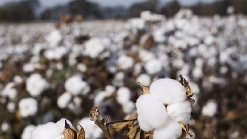 Ảnh minh họa. (Nguồn: Reuters)