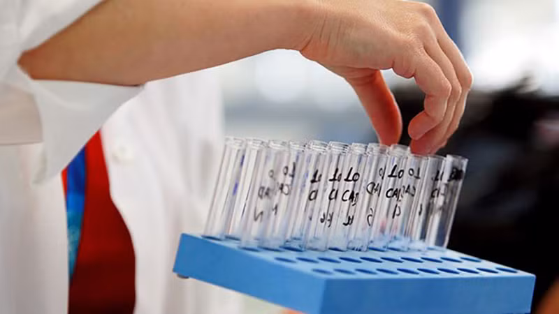 Ảnh minh họa. (Nguồn: Getty Images/TTXVN)