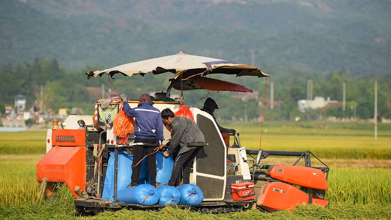 Chủ động đưa máy móc vào sản xuất nông nghiệp, Điện Biên có hàng nghìn nông dân thu nhập hàng trăm triệu đồng mỗi năm.