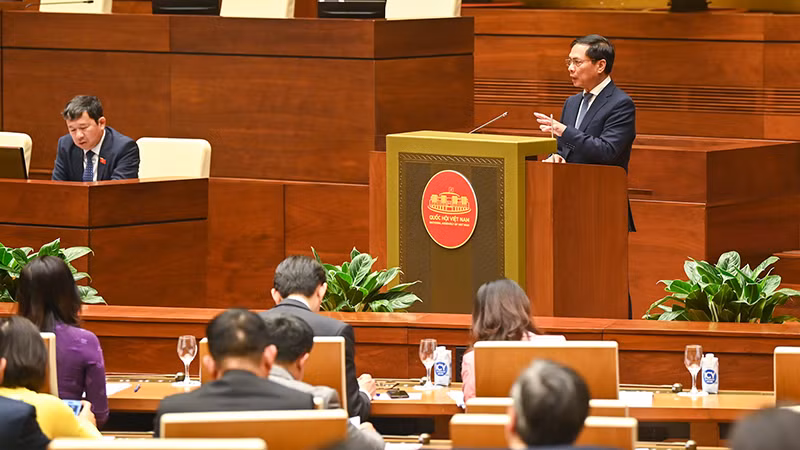 Bộ trưởng Ngoại giao Bùi Thanh Sơn báo cáo tại buổi gặp mặt. (Ảnh: DUY LINH)