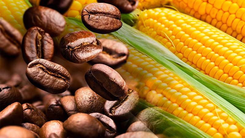 Ảnh minh họa. (Nguồn: Reuters)