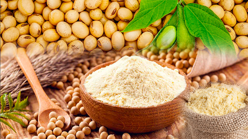 Giá khô đậu tương đột ngột tăng vọt, doanh nghiệp chăn nuôi bất an