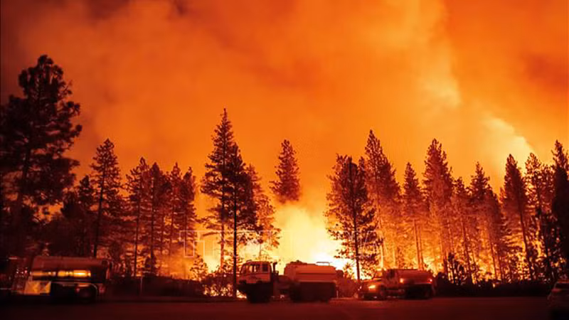Hiện trường cháy rừng tại Foresthill, California, Mỹ. (Ảnh: AFP/TTXVN)