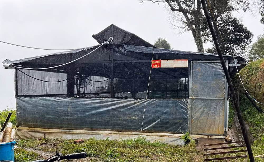 Nhà màng nuôi cấy mô của Công ty cổ phần rượu Sâm Ngọc Linh Kon Tum tại xã Ngọk Lây, huyện Tu Mơ Rông.