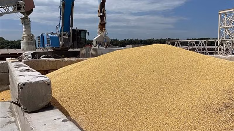 Ngũ cốc được chất tại cảng biển Izmail, vùng Odesa, Ukraine. (Ảnh: AFP/TTXVN)